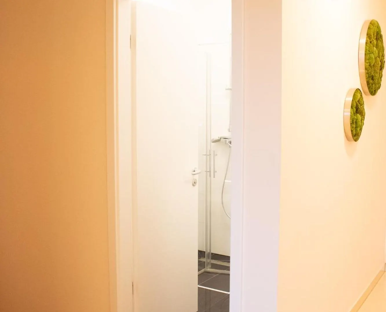 Luxus-Penthouse Im Zentrum Frankfurt am Main Apartment